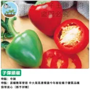 台灣現貨 子彈頭辣椒種子 中辣度  家用盆栽 陽台種植 可食用 觀賞 農作  新鮮 居家園藝 易種 高發芽率
