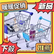 💥暖暖優選💥 【臺灣出貨】仿不銹鋼迷你仿真購物車 兒童玩具超市 小推車 可愛擺件桌麵袖珍家居