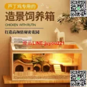優品優選 【熱銷】蘆丁雞飼養箱 倉鼠飼養箱 鼠籠 蘆丁雞造景 陸龜飼養 實木觀賞造景屋養殖育雛恒溫箱鵪鶉窩籠