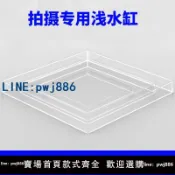聚寶盆萬貨行 【店家補貼】透明壓克力水缸攝影拍攝淺水槽拍照道具托盤水箱展示盒防塵罩定制