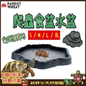 (店+)陸龜食盆【台灣24H出貨】爬蟲餵食盆 水盆 菜盤 兩棲餵食盤 爬蟲食盆水盆 守宮 蜥蜴 角蛙 蜘蛛 昆蟲 飼養箱 食盤