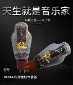 原廠配對林籟之音300B-G電子管代曙光300BG貴族之聲膽機
