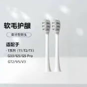 ✨臺灣出貨✨牙刷頭 電動牙刷頭 牙刷替換頭 Saky Pro舒客舒克聲波電動牙刷頭適配T1/T2/T3替換刷頭軟毛護齦