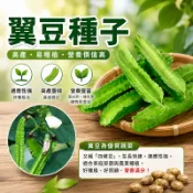 【花園夢想家】四角豆種子(翼豆、楊桃豆)Four Angled Bean 甜脆 蔬菜種子 家庭園藝