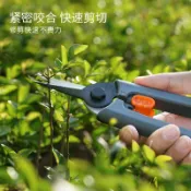 【五金 熱銷】吉米家居新款園藝剪刀園林修枝剪修花剪剪樹枝專用剪刀手工正品 優選