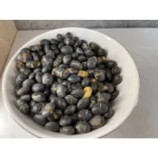 黑豆水 炒熟青仁黑豆 可泡黑豆茶 原味 低溫烘焙  無調味 適合泡黑豆水的黑豆 板橋買黑豆