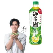 御茶園 台灣四季春(590mlx24入)