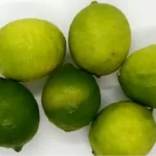 (店+)【蘭陽餐飲食材行】冷藏水果 黃檸檬 / 綠檸檬 / 無子檸檬 ( 皆1斤 ) → 生鮮蔬果類皆下單後 隔日早上才新鮮進貨