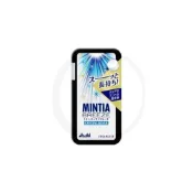 [LSH] 🎨現貨 日本 Asahi Mintia 清涼薄荷糖 口含錠 22g 清涼糖 果汁口含錠 薄荷錠 喉糖 口含錠