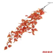 單個仿真綠蘿壁掛婚慶弔頂室內裝飾綠藤人造塑膠藤條壁掛假綠植 綠蘿假植物仿真藤蔓裝飾牆面壁掛花吊籃樹葉 五叉壁掛精靈紅蘿葉