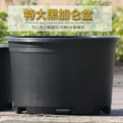 協貿國際日用品生活5館 大花盆加大黑色矮胖加侖花盆樹脂花盆繡球葡萄大口徑透氣盆栽花盆