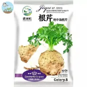 【原廠包裝】根芹種子（Root Celery） 罕見根莖蔬菜 球莖香芹 膨大根部可食用 煮湯燉肉超甜 陽台盆栽蔬菜種子