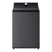 【LG 樂金】 20公斤AI DD™蒸氣直驅變頻洗衣機|夜墨灰|WT-TD20HG(含基本安裝)