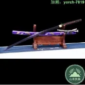 【桃園出龍泉劍武長居太肋差長劍katana未刃