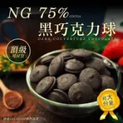 【雙雙的店】現貨 冬季限定 鴻太 NG 頂級巧克力系列100g 黑巧克力 白巧克力 巧克力 巧克力磚