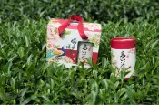 春茶上市！玉山頂級凍頂烏龍 沙里仙烏龍茶