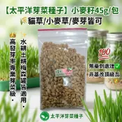 【太平洋芽菜種子】小麥籽45g/包🌾貓草/小麥草/麥芽皆可🌱約1125顆👑高發芽率專業芽菜級✨水耕土耕可💯無藥劑非基改