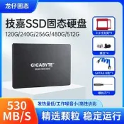 【可開發票】GIGABYTE技嘉SSD  120g 250g 580g 256g 512g 電腦固態硬盤