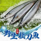 【生活市集】【享吃海鮮】特級秋刀魚240g(一包兩隻)