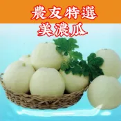 【現貨】 美濃瓜 Melon (sv-220) 【農友種苗】 蔬果種子 每包約20粒 耐濕、耐熱