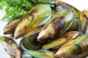 【冷凍貝類】紐西蘭全殼淡菜 /約1000g/包/孔雀蛤/貽貝/