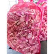 紅蔥頭（珠蔥）半斤50元