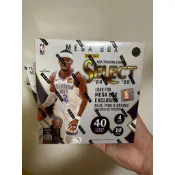 2024-25 panini select mega box nba Basketball 全新 未拆卡盒 拚斑馬紋