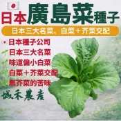 城禾農產🍃 日本廣島菜種子 6克約2120粒 日本名菜種子 廣島菜種子 日本廣島菜種子 廣島菜種子 日本菜種子 芥菜種子