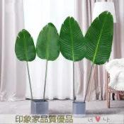 訂單滿299出貨 仿真綠植 葉子假葉子 道具擺飾 裝飾葉子 北歐仿真綠植單支天堂鳥旅人蕉葉子假插花單片龜背美人蕉婚慶裝飾