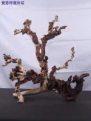 魚缸造景水沉木枯木紫柚天然樹樁烏龜曬台水族箱裝飾珊瑚木杜鵑根