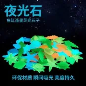 夜光石 水族造景底砂 彩色發光石 魚缸裝飾石 龜缸造景專用 寵物水族箱佈置 吸睛亮點 發光持久