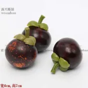 (MOLD-A_079)仿真水果假水果蔬菜模型泡沫水果 家居櫥柜裝飾品 仿真山竹