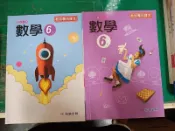  2本合售 無劃記 國民小學 國小 數學 6上+6下 教師專用課本 國小數學課本 翰林 M95