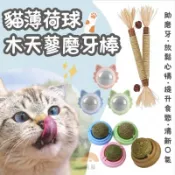 木天蓼 貓薄荷 蟲癭果 貓草 貓咪磨牙 貓咪磨牙 拉菲草  貓咪磨牙玩具  木天蓼粉 貓草玩具 貓薄荷