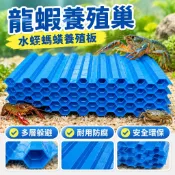 【組合優惠】澳洲淡水龍蝦巢蟹屋 小龍蝦躲避窩 螞蝗水蛭板 蜂巢螃蟹養殖巢 人工躲避洞 守宮躲避屋 寄居蟹 躲避