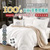 棉花糖屋-TENCEL™100%100支頂級尊爵刺繡素色天絲™ 雙人加大特大 薄床包舖棉兩用被五件式組-多款選擇 圖一