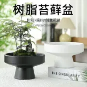 🔥熱銷款🔥飛碟苔蘚球花盆蕨類專用盆水仙花高腳無孔水培植物加厚樹脂花盆ASWWWEER
