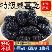 🌙現貨 特級桑葚乾新疆特產吐魯番桑葚果乾黑桑葚幹批發泡水100公克/袋