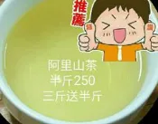 （天天出貨）阿里山機採茶葉～烏龍，金萱，四季春，冬片四季春～半斤260-290元，1斤超取免運，3斤送半斤～當季好茶