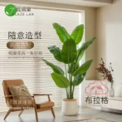 布拉格奇幻生活 免運 公司貨 仿真綠植 仿真天堂鳥高端輕奢室內客廳裝飾旅人蕉大型落地擺件仿生綠植盆栽 可開發票 全館八折 工廠現貨直銷 新品特價 b12052