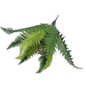 人造深蕨類植物 55 厘米,帶 12 枝,人造植物裝飾,龜背竹金箔,小盆栽