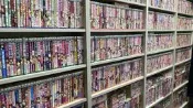 成人漫畫、新視界、a漫、h漫、黃色書刊、魔之穴、維納斯。