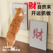 貓抓板 財字瓦楞紙板 多功能立式板 腳墊抓板 二合一板 高密度瓦楞紙板 新款 免運