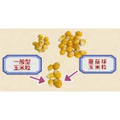 『年貨商品』Jの店，蘑菇球，玉米粒、爆米花、600克，通過SGS檢驗合格
