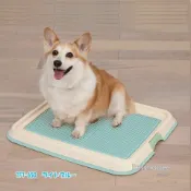 【Petshopee寵物網】IRIS 防抓平面狗便盆 TFT-650