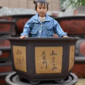 臺灣熱賣🔥大花盆陶瓷特大號盆栽髮財樹果樹種樹盆大號特價清倉紫砂花盆批髮陶瓷碗蓮盆缸 水缸 魚缸 庭院仿石大水缸