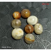 🌟Coral珊寶手作-天然澎湖文石圓凸/蛋面裸石 9.6-11.6mm JD2P1-820