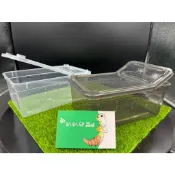 [趴趴爬蟲] 飼養箱 爬蟲箱 昆蟲箱 烏龜箱 掌上明珠 守宮 角蛙 烏龜 昆蟲 蜘蛛 蠍子 澤龜