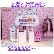 《我愛查理》💕附發票 康是美 史努比 時尚新豹點 手提包 圍巾 托特包 玩偶吊飾 拖鞋 馬克杯 冰壩杯 擦手巾 地墊