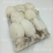 【蝦鮮生蟹小姐】小花枝-塊凍  40/60 200克